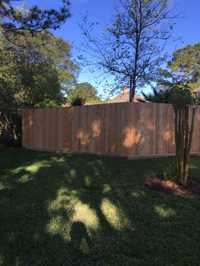 Fencing Contractor